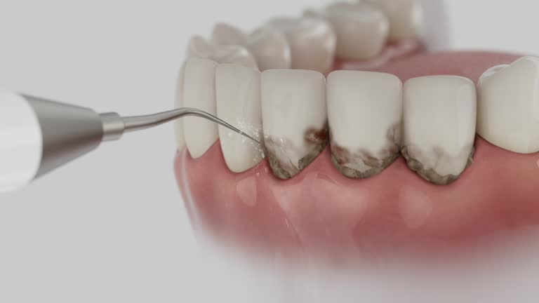 Reliable Dental contractor in Libby, MT by Dentist Open Now